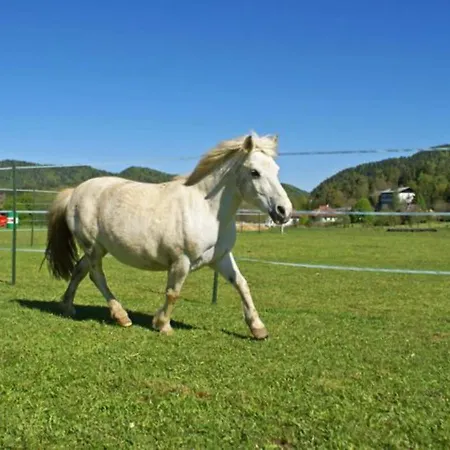 Eckwirt Region: Klopeinersee-turnersee *