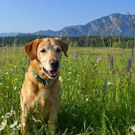 Eckwirt Region: Klopeinersee-turnersee * Sankt Kanzian am Klopeiner See