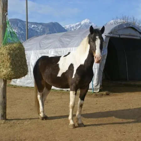 Apartment Eckwirt Region: Klopeinersee-turnersee