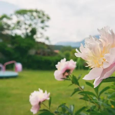 Eckwirt Region: Klopeinersee-turnersee