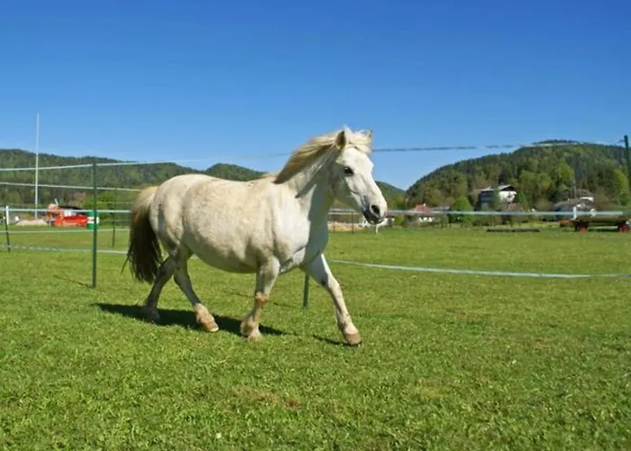 Eckwirt Region: Klopeinersee-turnersee *