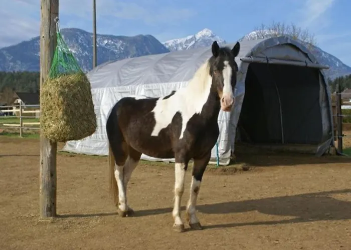 דירה Eckwirt Region: Klopeinersee-turnersee