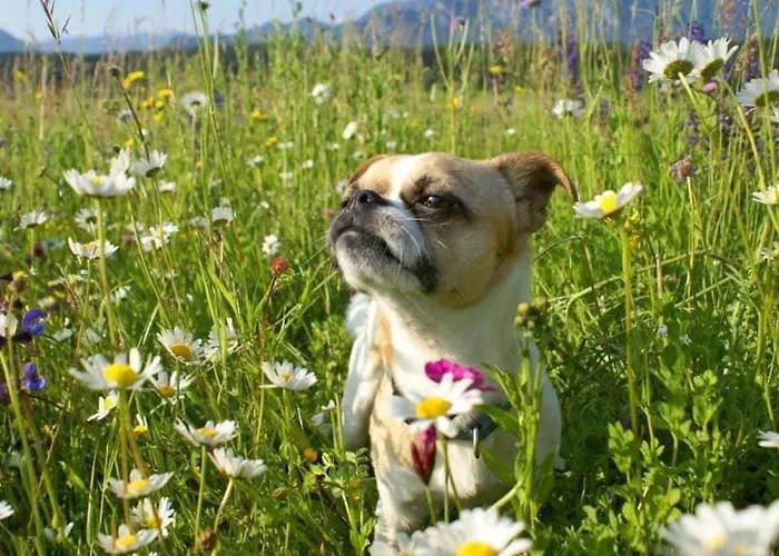 Eckwirt Region: Klopeinersee-turnersee *