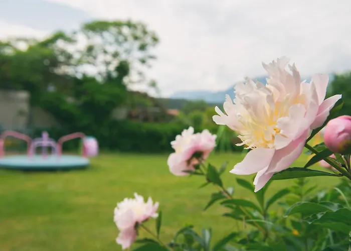 Eckwirt Region: Klopeinersee-turnersee