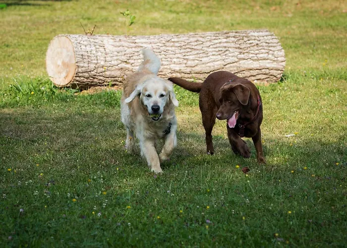 Eckwirt Region: Klopeinersee-turnersee * Sankt Kanzian am Klopeiner See